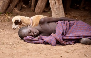 בכל שנה חולים כ-200 מיליון בני אדם במלריה ויותר מחצי מיליון מתים מהמחלה, בעיקר באפריקה. מגוון מינים גדול יותר יכול להוריד שכיחות של מחלות מידבקות. צילום: Rod Waddington, Flickr     
