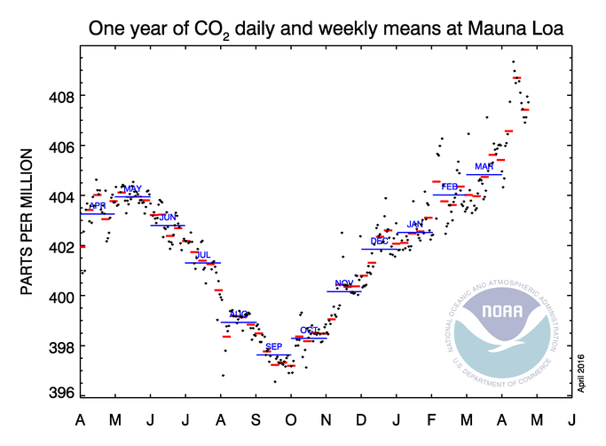 ריכוז פחמן דו-חמצני באטמוספרה בשנה האחרונה, מאפריל 2015 עד אפריל 2016. NOAA