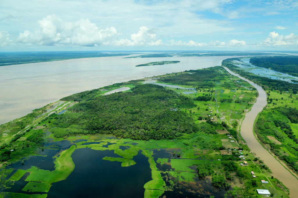 נהר האמזונס ויערות הגשם בברזיל. צילום: Neil Palmer/CIAT